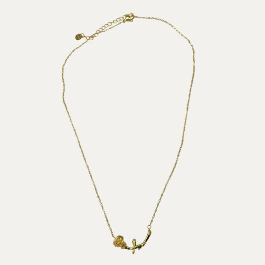 Collar Rosa de Amor