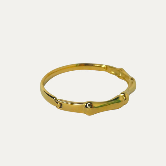 Brazalete Coral Brillante