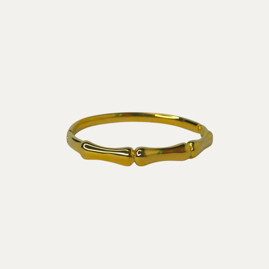 Brazalete Coral Brillante